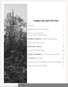 Table of Contents